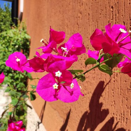 Casapatrizia B&B سيرمِيوني المظهر الخارجي الصورة